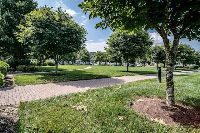 view of community with a yard