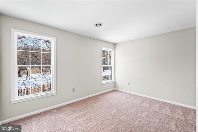 unfurnished room with carpet floors and a healthy amount of sunlight