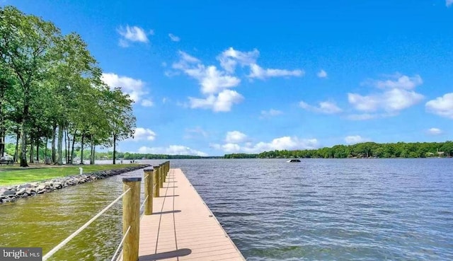 dock area featuring a water view