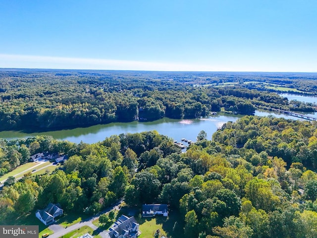 bird's eye view with a view of trees and a water view