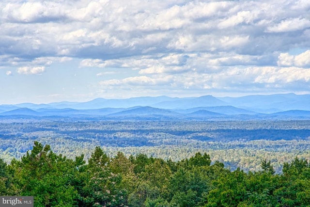 mountain view with a forest view