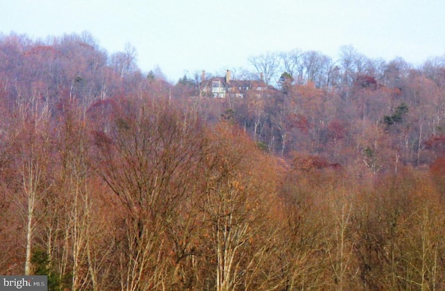 view of nature with a wooded view