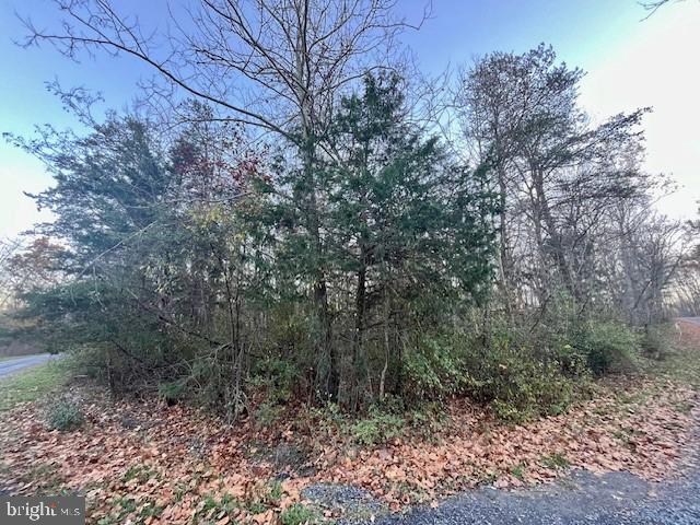 Oak Ln, Luray VA, 22835 land for sale