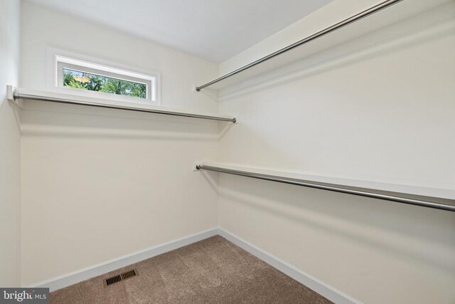 walk in closet featuring carpet flooring