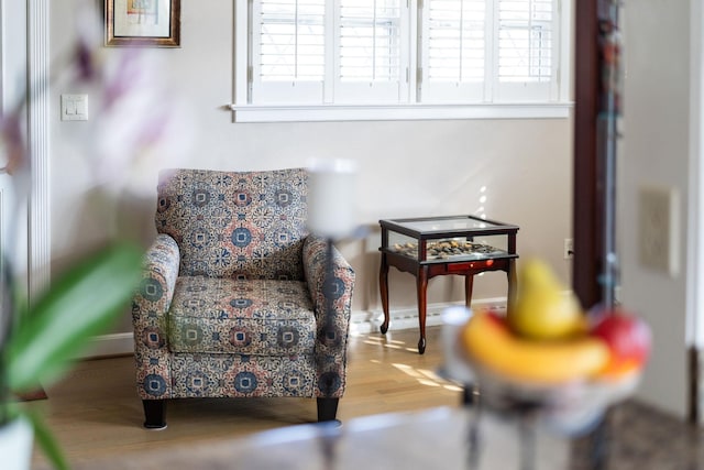 living area featuring hardwood / wood-style floors