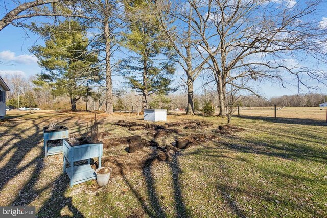 view of yard with a shed