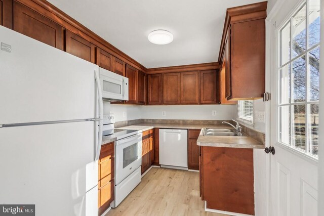 kitchen with a healthy amount of sunlight, sink, white appliances, and light hardwood / wood-style flooring