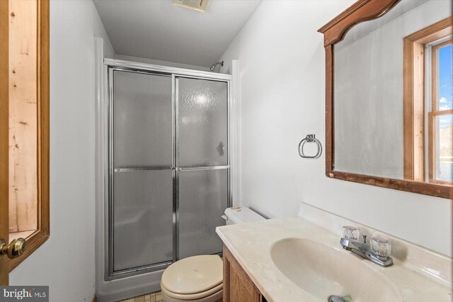 bathroom with vanity, an enclosed shower, and toilet