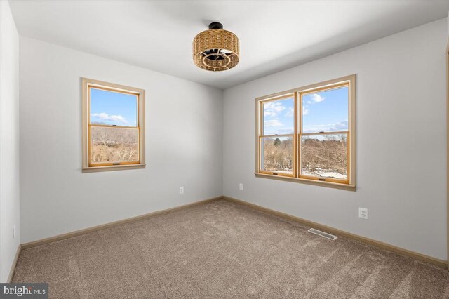 view of carpeted spare room