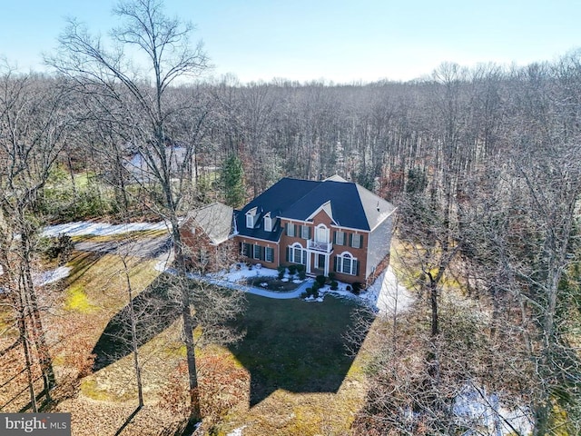 bird's eye view with a forest view