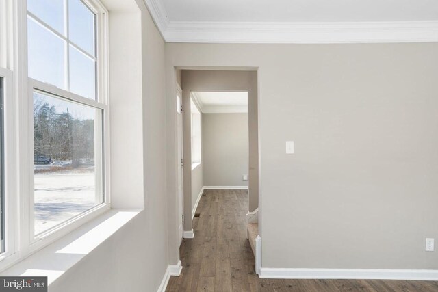 corridor featuring crown molding and dark hardwood / wood-style floors