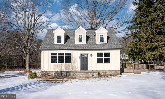 view of cape cod house