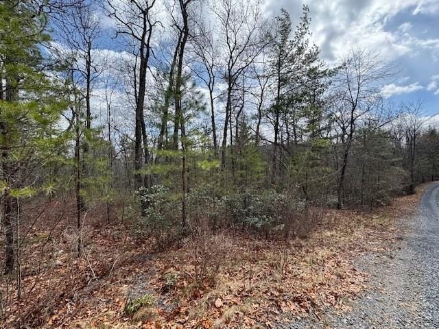 Listing photo 2 for LOT45 Fetterbush Ln, Hinton VA 22831