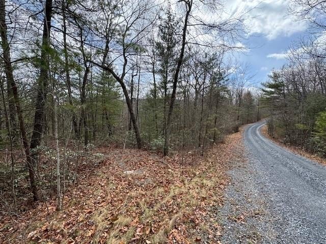 LOT45 Fetterbush Ln, Hinton VA, 22831 land for sale