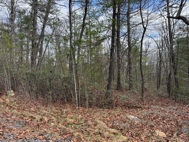 Listing photo 3 for LOT45 Fetterbush Ln, Hinton VA 22831