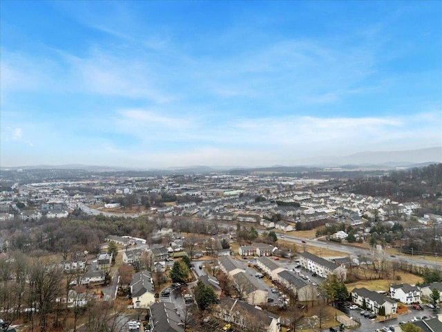 bird's eye view