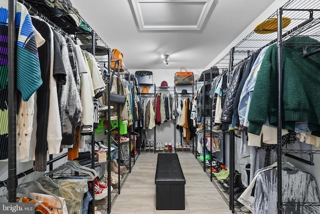 walk in closet featuring wood finished floors and attic access