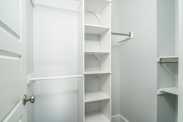 view of spacious closet