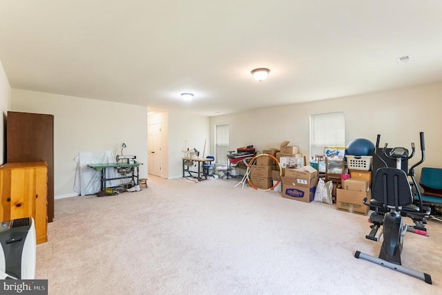 exercise area with a wealth of natural light and carpet floors