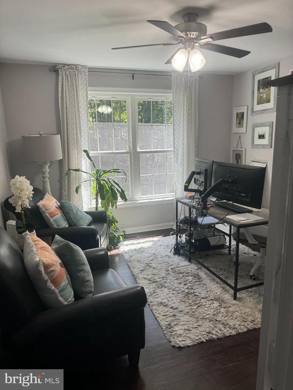 office featuring ceiling fan and dark hardwood / wood-style flooring