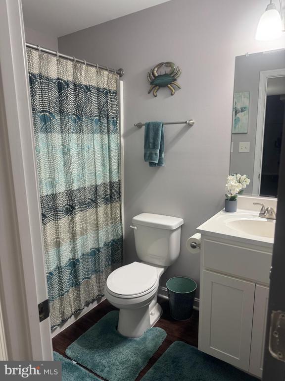 bathroom with wood-type flooring, toilet, and vanity