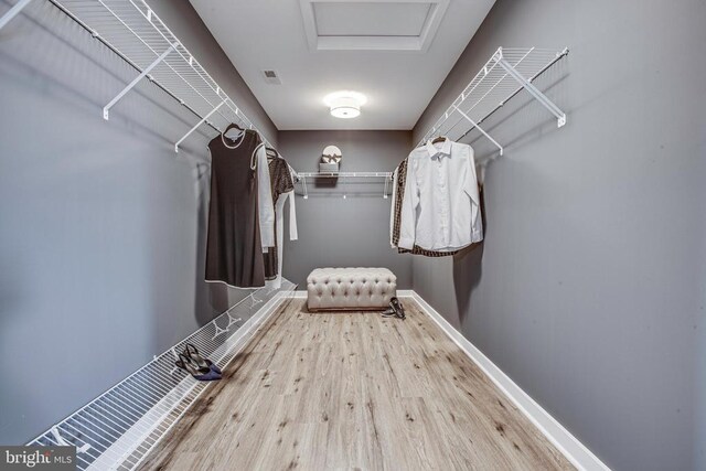 spacious closet with hardwood / wood-style flooring