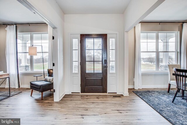 foyer entrance featuring light hardwood / wood-style floors