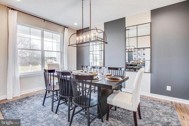 dining area with wood-type flooring and a wealth of natural light