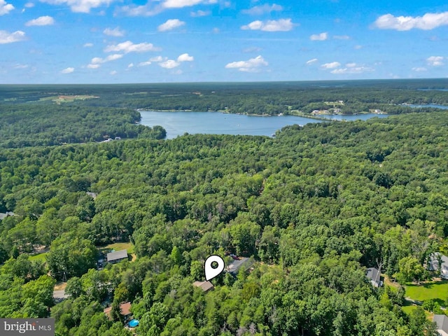 bird's eye view with a wooded view and a water view