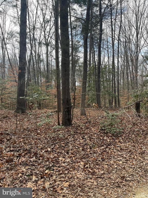 6317 Little Acres Ln, Woodford VA, 22580 land for sale