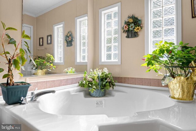 interior details featuring a tub to relax in and ornamental molding