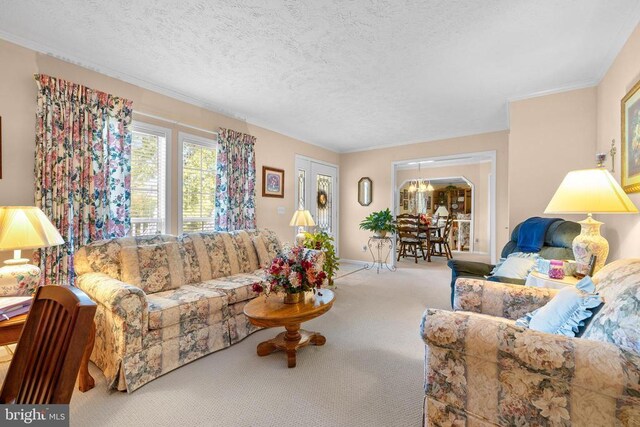 living room featuring carpet flooring and a textured ceiling