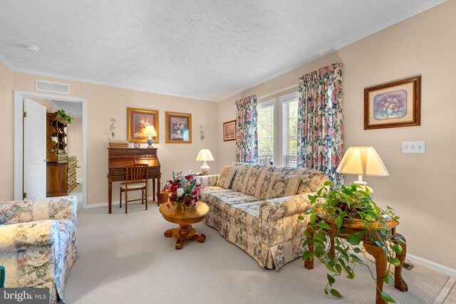 carpeted living room with crown molding and a textured ceiling