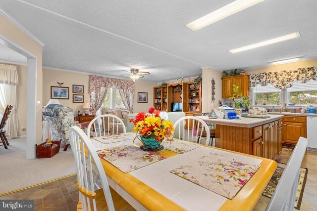 dining room with sink, carpet flooring, ceiling fan, crown molding, and a textured ceiling