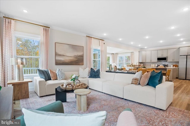 living room featuring ornamental molding and light hardwood / wood-style floors