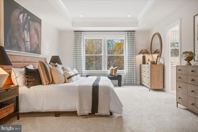 carpeted bedroom featuring a raised ceiling