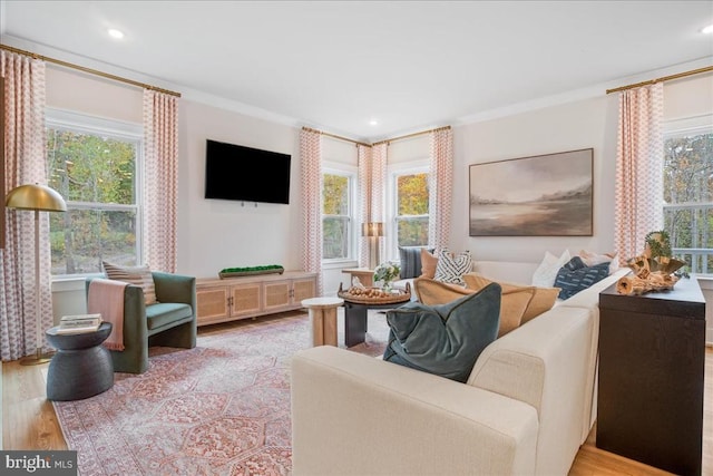 living room with ornamental molding, plenty of natural light, and light wood-type flooring