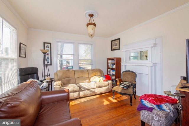 living room with crown molding and hardwood / wood-style floors