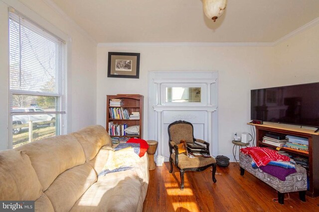 living room featuring ornamental molding and hardwood / wood-style floors