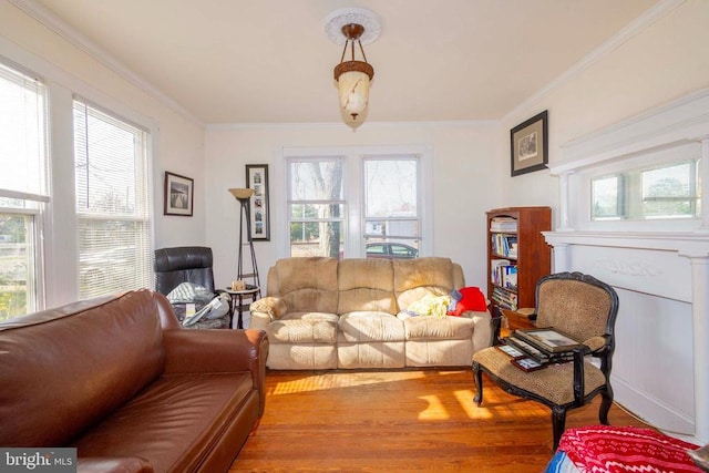 living room with hardwood / wood-style floors, a wealth of natural light, and ornamental molding