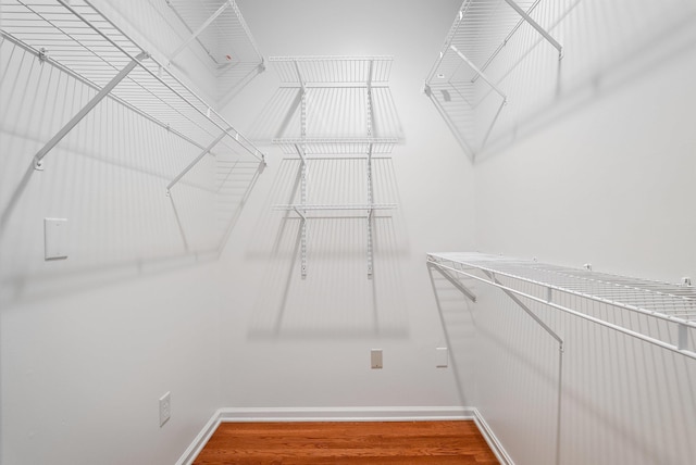 walk in closet featuring wood-type flooring