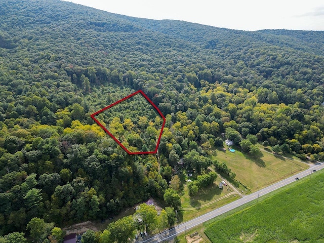 Listing photo 2 for 0 Brocks Gap Rd, Fulks Run VA 22830