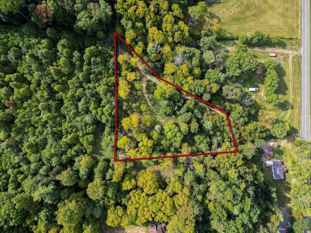 0 Brocks Gap Rd, Fulks Run VA, 22830 land for sale