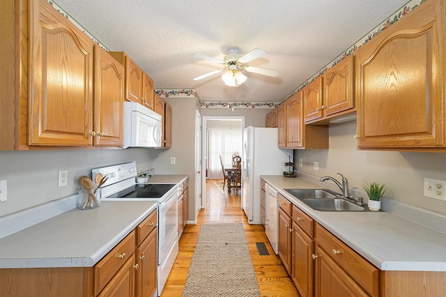 kitchen with ceiling fan, light wood-type flooring, a sink, light countertops, and white appliances