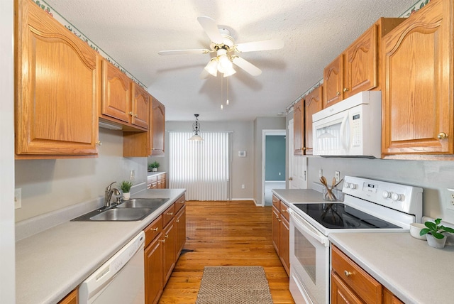 kitchen featuring ceiling fan, a sink, light countertops, light wood finished floors, and white appliances