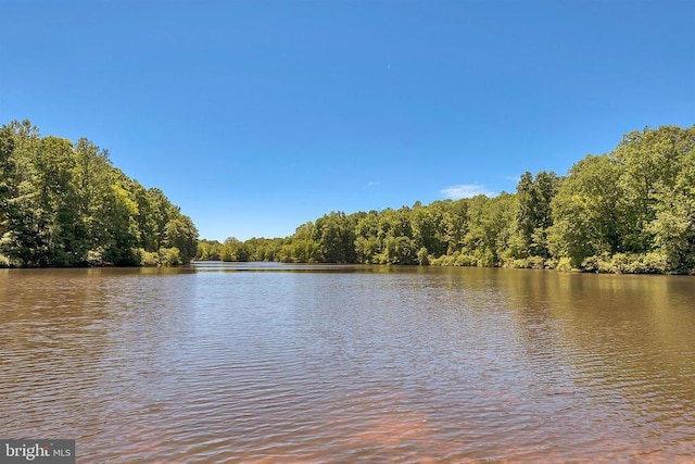 water view featuring a view of trees