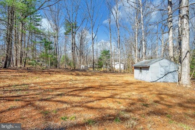 view of yard with an outdoor structure and a storage unit