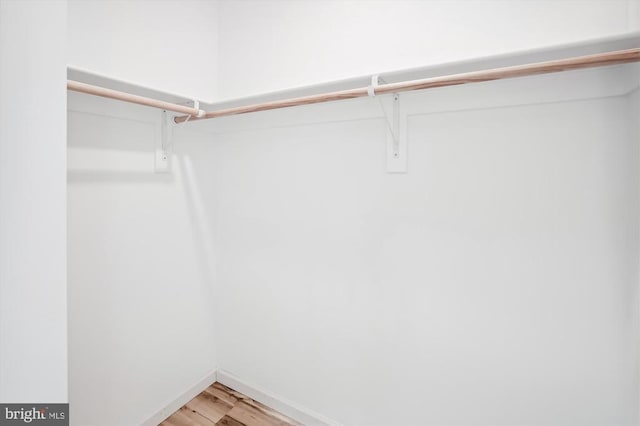 walk in closet featuring light wood-style floors