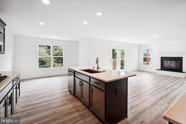 kitchen with open floor plan, stainless steel dishwasher, light wood-style floors, a glass covered fireplace, and a sink