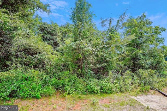 view of landscape with a wooded view